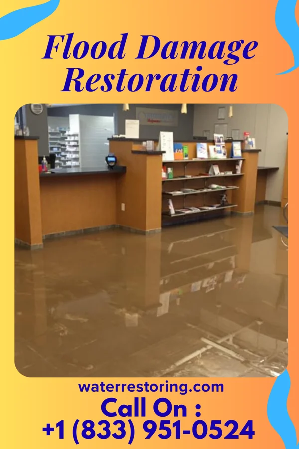 Flood Damage Restoration in Grantwood Village, MO