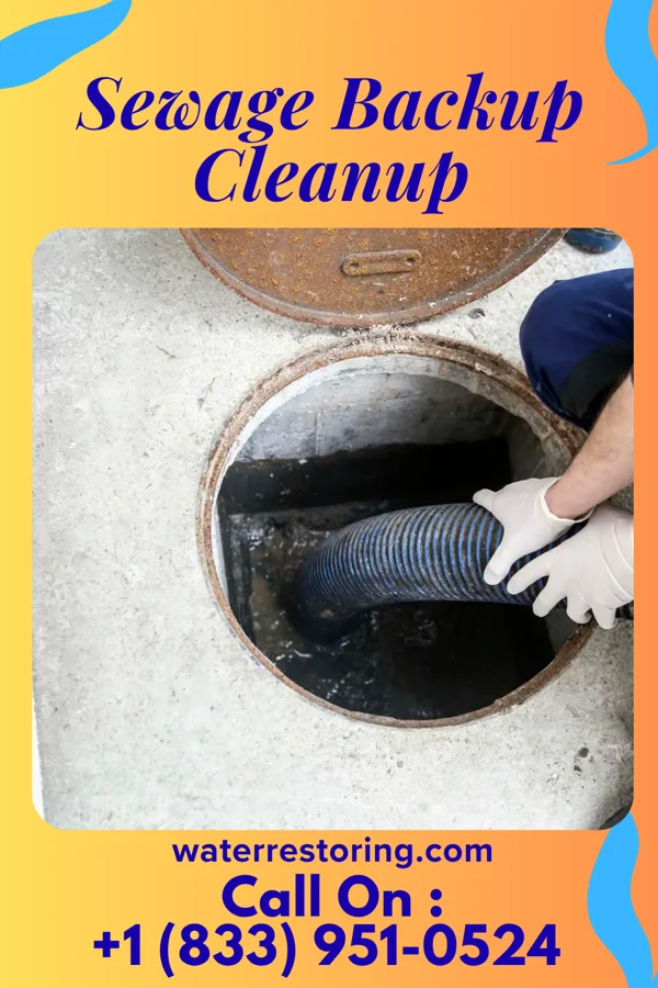 Sewage Backup Cleanup in Grantwood Village, MO