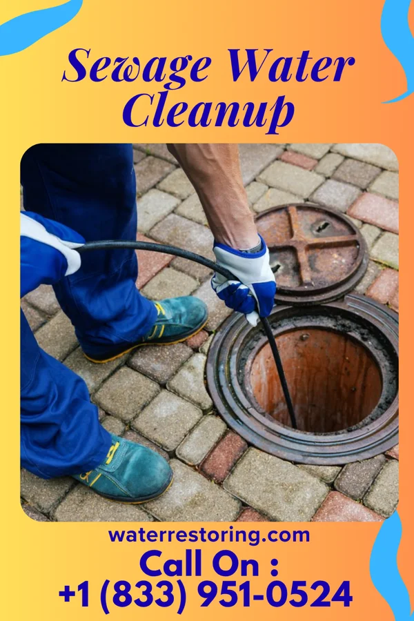 Sewage Water Cleanup in Grantwood Village, MO